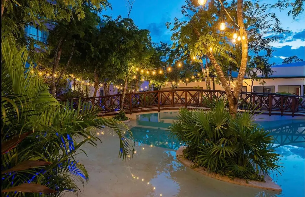 Entire Apartment At Dk Tulum